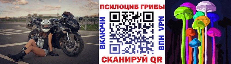 мега ССЫЛКА  Георгиевск  Галлюциногенные грибы Magic Shrooms 